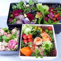 秋のお花